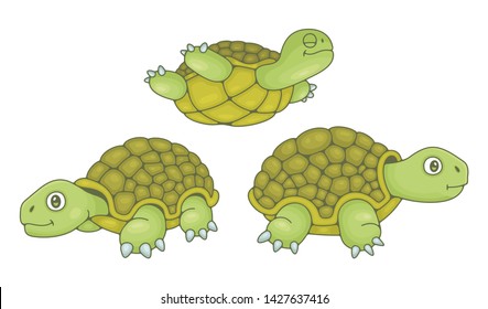Set of Turtles. isolated on white background