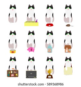 set of tuxedo cat pointing object with its paw