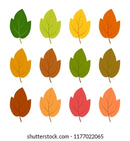 Set of twelve autumn leaves in different autumn colors. Vector illustration.
