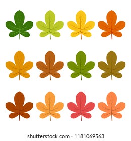 Set of twelve autumn leaves in different autumn colors. Vector illustration.
