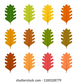 Set of twelve autumn leaves in different autumn colors. Vector illustration.