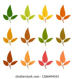 Set of twelve autumn leaves in different autumn colors. Vector illustration.
