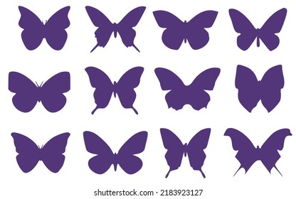 Set of twelve butterfly silhouettes. Entomological collection of butterflies.