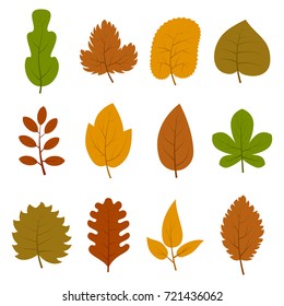 Set of twelve different autumn leaves isolated on white background. Vector illustration. 
