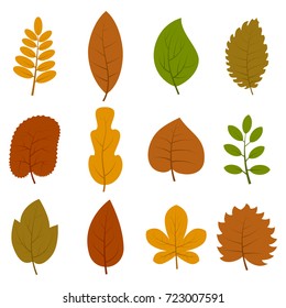 Satz von zwölf verschiedenen Herbstblättern einzeln auf weißem Hintergrund. Vektorgrafik. 