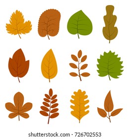 Set of twelve different autumn leaves isolated on white background. Vector illustration. 
