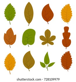 Set Twelve Different Autumn Leaves Isolated Stock Vector (Royalty Free ...