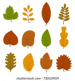 Set of twelve different autumn leaves isolated on white background. Vector illustration. 

