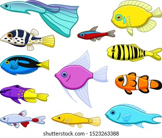 Set of twelve different colored tropical fishes