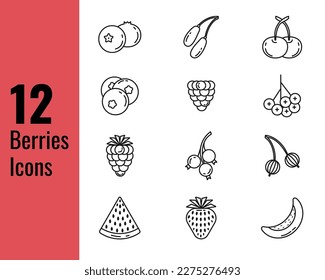 Set of twelve different types outline berries icons. Blueberries,  raspberries, blackberries, goji berries, watermelon, melon, blackthorn, strawberries, currants and cranberries. Suitable for web, app