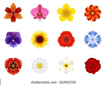 Set of twelve flowers, drawn in flat style