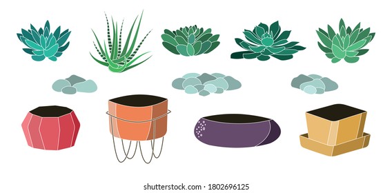 Set of twelve vector illustrations of succulents and colorful pots in cartoon style. Isolated over white background. Can be composed and used for postcards, invitations, stationery, textiles.