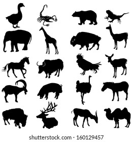 Set of twenty animal black silhouette vector isolated on white background.