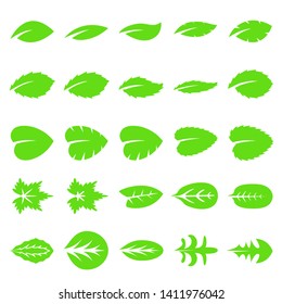 Set of twenty five green leaf vector icon isolated on white background. Various symbol of green leaves of trees and plants. Suitable for eco and bio logos.