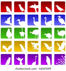 Set of twenty five icons for various bird species