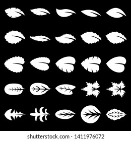 Set of twenty five  leaf vector icon isolated on black background. Various symbol of leaves of trees and plants. Suitable for eco and bio logos.