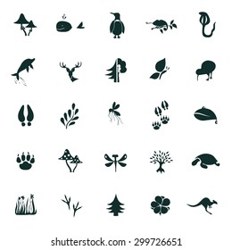 Set of twenty five nature icons