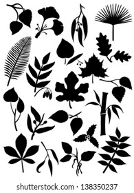 Set of twenty leaf silhouettes