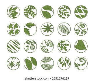 Set of twenty leaves in a circle. Green leaves. Set of logos, icons. Isolated on white background.