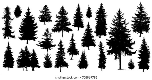 Set of Twenty One different silhouettes of pine trees. Handmade. - Shutterstock ID 708969793
