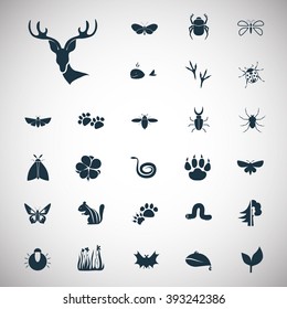 Set of twenty seven nature icons