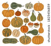 Set of twenty two multi-colored pumpkins. Brush texture. Isolated on white
