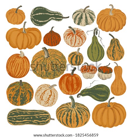 Set of twenty two multi-colored pumpkins. Brush texture. Isolated on white