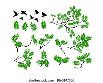 Un conjunto de ramas con pájaros volando. Rama de árbol de verano con hojas verdes frescas. Ilustración del vector