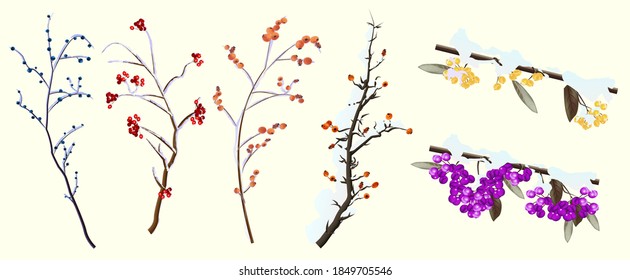 Set Of Twigs With Bliss With Colorful Winter Berries