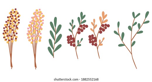 Set with twigs, branch, leaves and berries. Brown, yellow, red, green colors. Vector illustration. Hand drawn