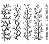 Set of twigs, branches of leaves. Seamless doodle floral pattern. Hand drawn Botanical drawing. Detailed line art of twigs and thorns vine illustration. Outline Simple Stylized Art 