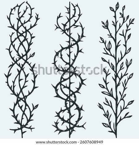 Set of twigs, branches of leaves. Seamless doodle floral pattern. Hand drawn Botanical drawing. Detailed line art of twigs and thorns vine illustration. Outline Simple Stylized Art 