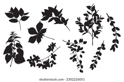set of twigs and branches silhouettes, vectorized, leaves, branches