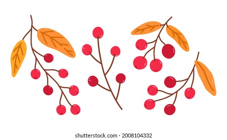 Set of twigs with cranberries and golden leaves isolated on a white background. Vector hand-drawn illustration in cartoon flat style. Perfect for your project, cards, logo, decorations.