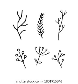 Set of twigs of different plants. Hand drawn vector doodle elements.