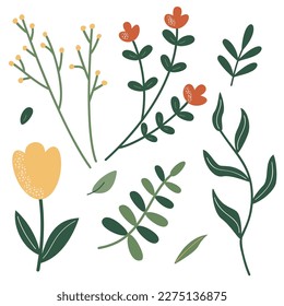 A set of twigs and flowers for decoration. Vector illustration of stylized plants in flat style. Isolated on a white background.