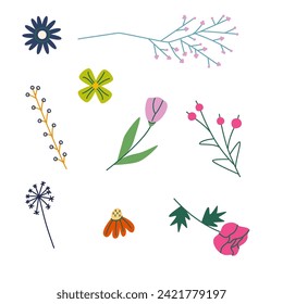 A set of twigs and flowers for decoration. Vector illustration of stylized plants in flat style. Isolated on a white background.