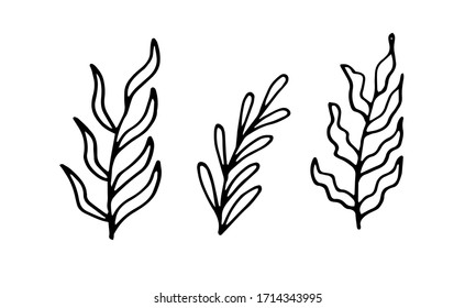 Set of twigs. Hand drawn tree branches with leaves. Graphic design elements. Black and white botanical illustration. Doodle style.