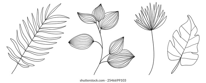 Set of twigs with leaves botanical hand- drawing collection.Vector illustration 