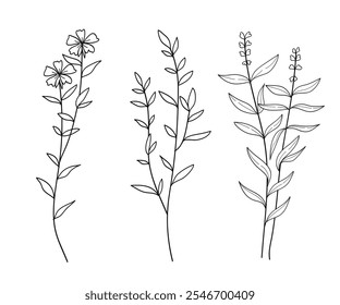 Set of twigs with leaves botanical hand drawn collection.Vector illustration