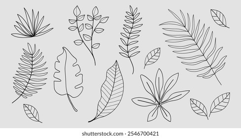 Set of twigs with leaves botanical hand- drawing collection.Vector illustration 