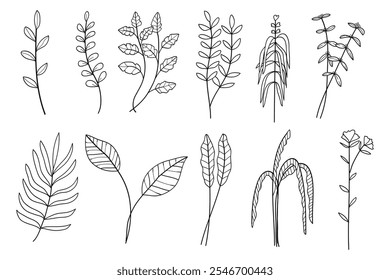 Set of twigs with leaves botanical hand drawn collection.Vector illustration