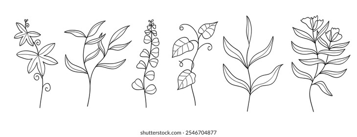 Set of twigs with leaves botanical hand drawn collection .Vector illustration