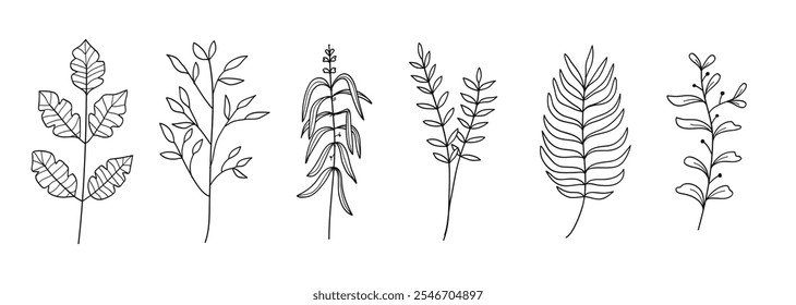 Set of twigs with leaves botanical hand drawn collection .Vector illustration