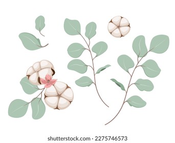 A set of twigs of leaves and cotton flowers on a white background.
