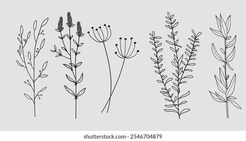  Set of twigs with leaves and flowers botanical hand drawing.Vector illustration