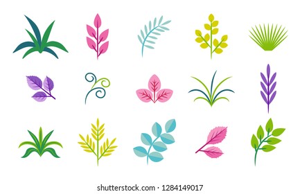 Set of twigs, leaves and grass. Vector icons isolated  on white background. Botanical elements for design, cards, decorations. Cute illustrations in сartoon flat style.
