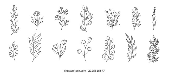 Set twigs with leaves isolated on a white background. Vector illustration in outline style. For cards, logo, decorations, invitations, cosmetic designs.