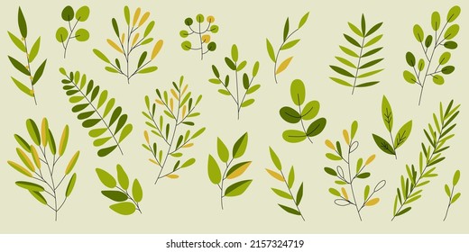 A set of twigs on a dark background. Vector leaf elements for your design