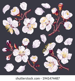 Set of twigs with spring flowers of fruit trees. Realistic , vector hand-drawn flowers easy to edit and compose for your design, textile, pattern, apparel print, social media banner, advertising